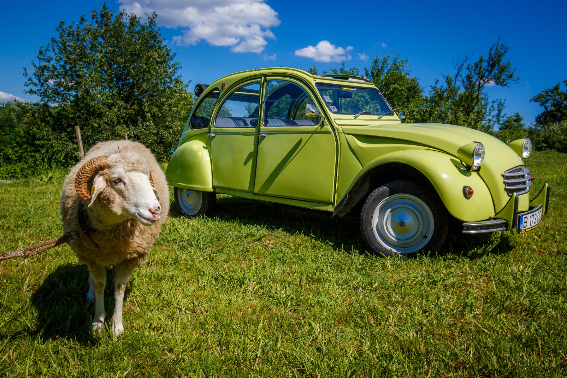 Citroën 2CV 1973